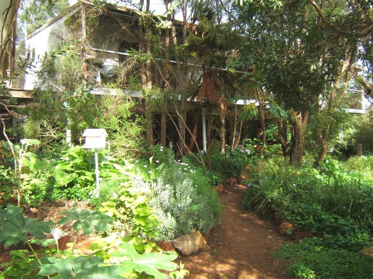 Whispering Pines Bed And Breakfast Collie Exterior foto